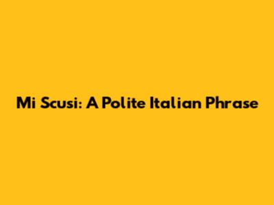 Mi Scusi: A Polite Italian Phrase