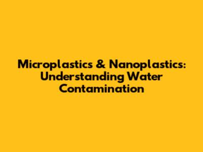 Microplastics & Nanoplastics: Understanding Water Contamination