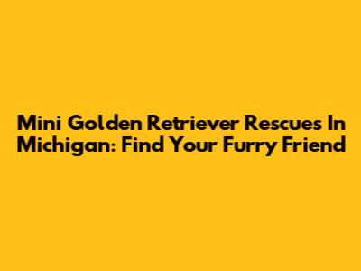 Mini Golden Retriever Rescues In Michigan: Find Your Furry Friend