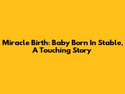 Miracle Birth: Baby Born In Stable, A Touching Story
