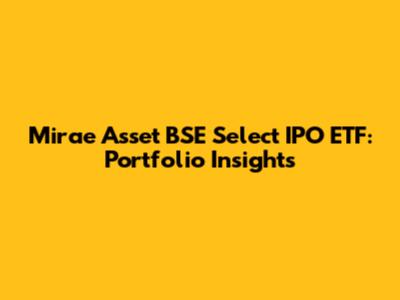 Mirae Asset BSE Select IPO ETF: Portfolio Insights