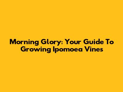 Morning Glory: Your Guide To Growing Ipomoea Vines