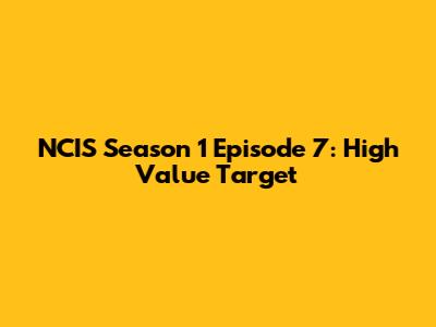 NCIS Season 1 Episode 7: High Value Target