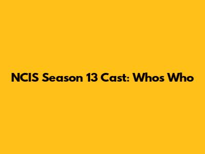 NCIS Season 13 Cast: Who's Who