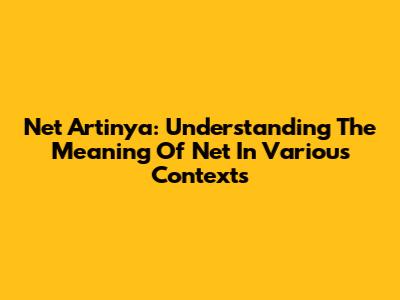 Net Artinya: Understanding The Meaning Of 'Net' In Various Contexts