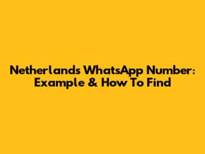 Netherlands WhatsApp Number: Example & How To Find