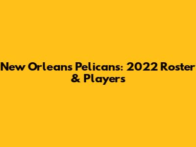 New Orleans Pelicans: 2022 Roster & Players