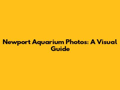 Newport Aquarium Photos: A Visual Guide