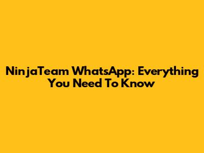 NinjaTeam WhatsApp: Everything You Need To Know