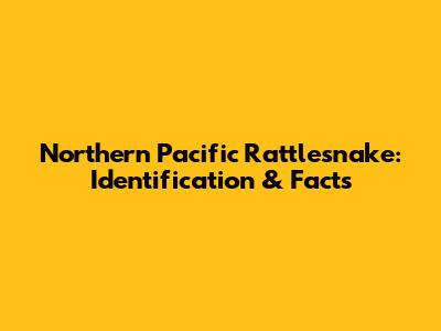 Northern Pacific Rattlesnake: Identification & Facts