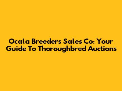 Ocala Breeders Sales Co: Your Guide To Thoroughbred Auctions