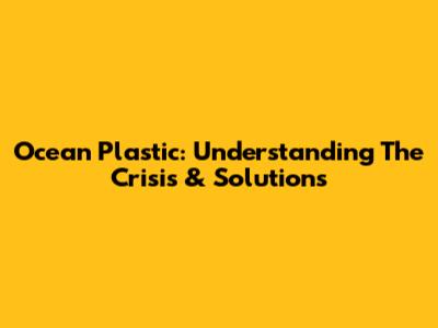 Ocean Plastic: Understanding The Crisis & Solutions