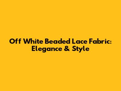 Off White Beaded Lace Fabric: Elegance & Style