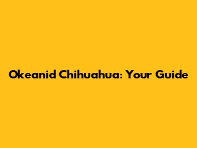 Okeanid Chihuahua: Your Guide