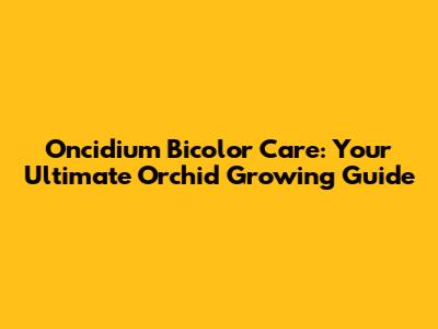 Oncidium Bicolor Care: Your Ultimate Orchid Growing Guide