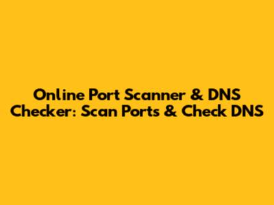 Online Port Scanner & DNS Checker: Scan Ports & Check DNS