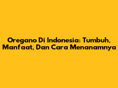 Oregano Di Indonesia: Tumbuh, Manfaat, Dan Cara Menanamnya