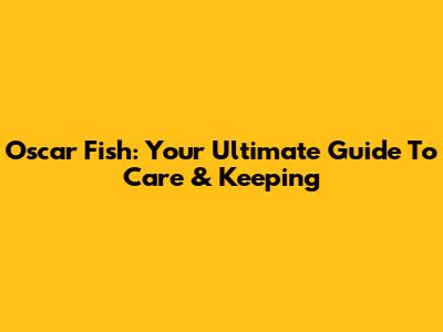 Oscar Fish: Your Ultimate Guide To Care & Keeping
