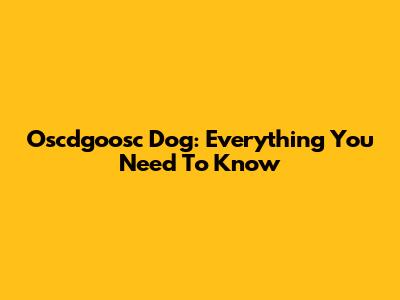 Oscdgoosc Dog: Everything You Need To Know