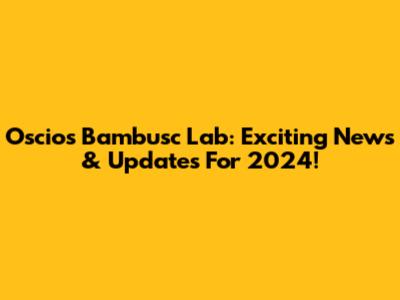 Oscios Bambusc Lab: Exciting News & Updates For 2024!