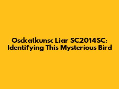 Osckalkunsc Liar SC2014SC: Identifying This Mysterious Bird