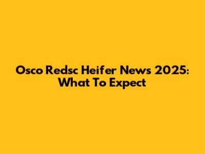 Osco Redsc Heifer News 2025: What To Expect