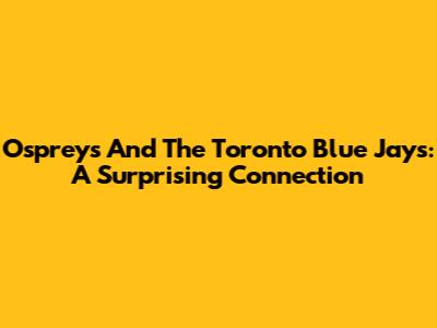Ospreys And The Toronto Blue Jays: A Surprising Connection