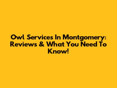 Owl Services In Montgomery: Reviews & What You Need To Know!