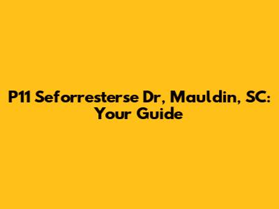P11 Seforresterse Dr, Mauldin, SC: Your Guide