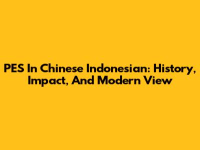 PES In Chinese Indonesian: History, Impact, And Modern View