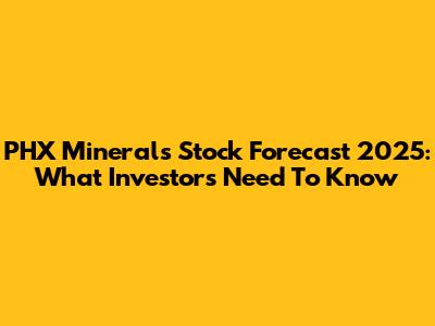 PHX Minerals Stock Forecast 2025: What Investors Need To Know
