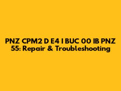 PNZ CPM2 D E4 I BUC 00 IB PNZ 55: Repair & Troubleshooting