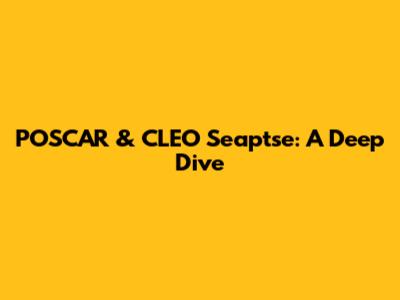 POSCAR & CLEO Seaptse: A Deep Dive