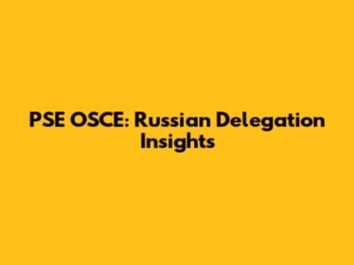 PSE OSCE: Russian Delegation Insights