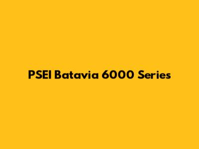PSEI Batavia 6000 Series