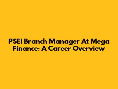PSEI Branch Manager At Mega Finance: A Career Overview