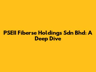 PSEII Fiberse Holdings Sdn Bhd: A Deep Dive