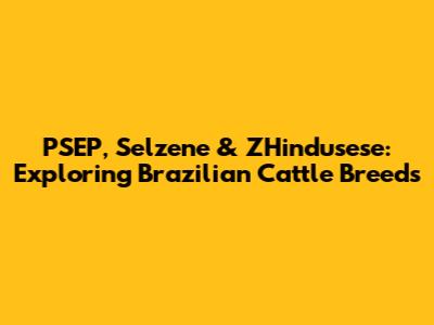 PSEP, Selzene & ZHindusese: Exploring Brazilian Cattle Breeds