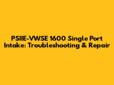 PSIIE-VWSE 1600 Single Port Intake: Troubleshooting & Repair