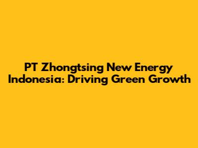 PT Zhongtsing New Energy Indonesia: Driving Green Growth