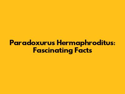 Paradoxurus Hermaphroditus: Fascinating Facts