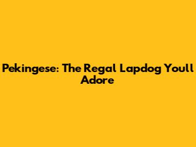 Pekingese: The Regal Lapdog You'll Adore