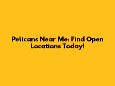 Pelican's Near Me: Find Open Locations Today!