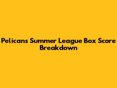 Pelicans Summer League Box Score Breakdown