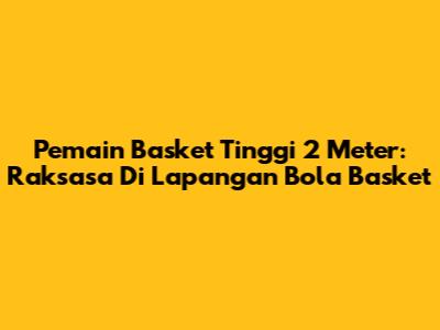 Pemain Basket Tinggi 2 Meter: Raksasa Di Lapangan Bola Basket