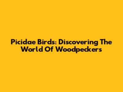Picidae Birds: Discovering The World Of Woodpeckers