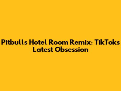 Pitbull's Hotel Room Remix: TikTok's Latest Obsession