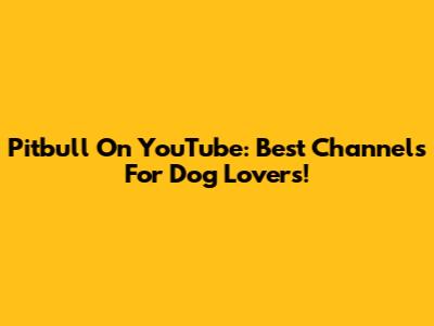 Pitbull On YouTube: Best Channels For Dog Lovers!