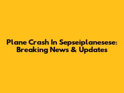 Plane Crash In Sepseiplanesese: Breaking News & Updates