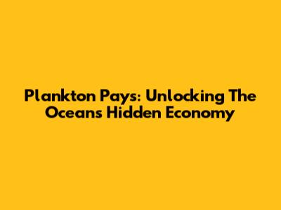 Plankton Pays: Unlocking The Ocean's Hidden Economy